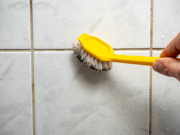 Best Mold Removal Near Me  in Gonzales, CA