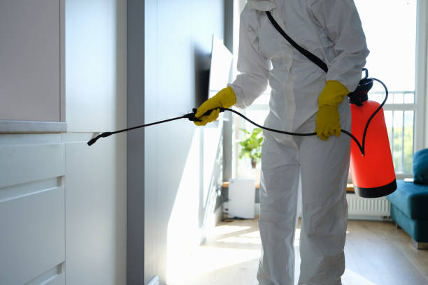 Best Certified Mold Removal  in Gonzales, CA
