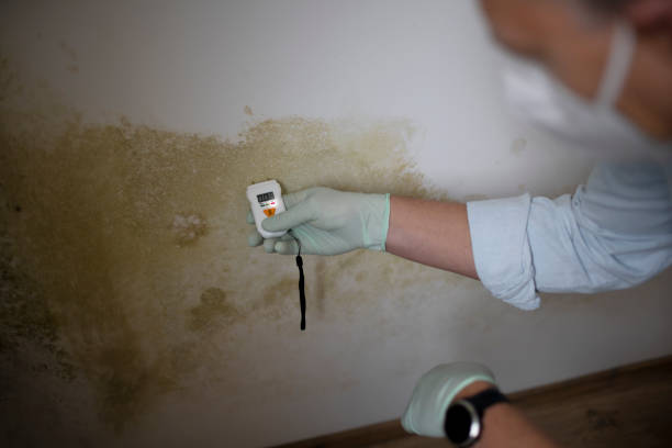 Best Residential Mold Removal  in Gonzales, CA