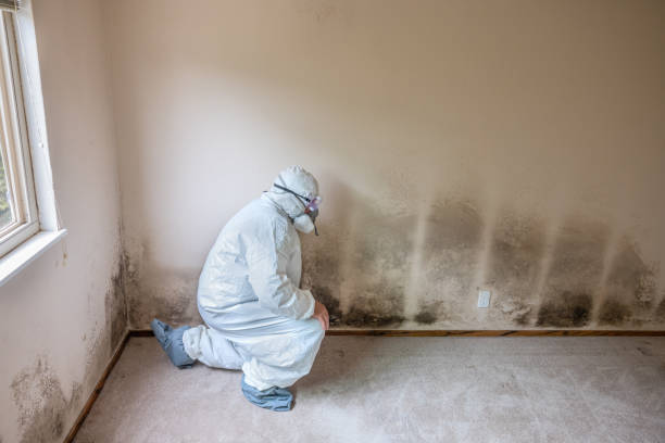 Best Residential Mold Removal  in Gonzales, CA